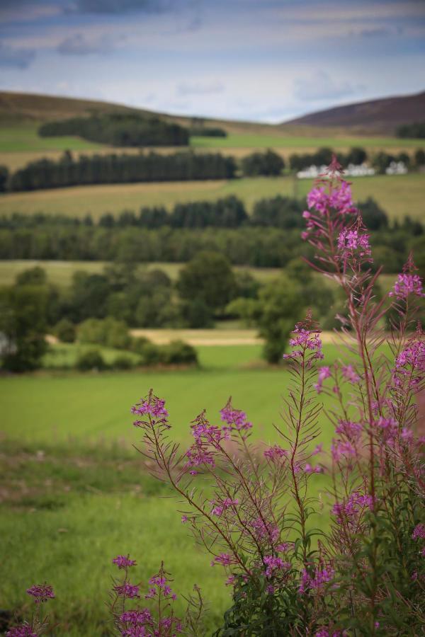 Clova Pod, Kilry Eco Pods Hotel Blairgowrie and Rattray Екстериор снимка